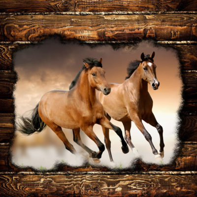 Cornhole Boards Designs